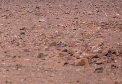 Images Of The Torra Conservancy