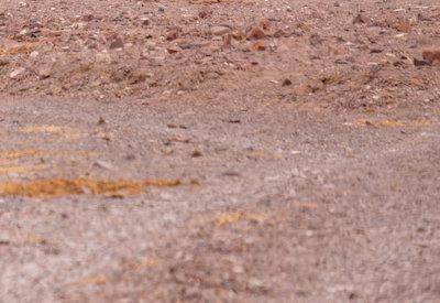 Images Of The Torra Conservancy