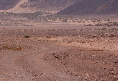 Images Of The Torra Conservancy