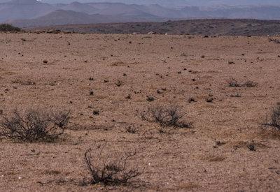 Torra Conservancy Photos