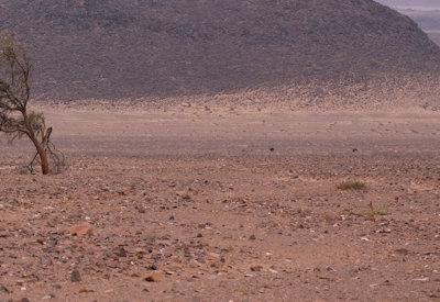 Images Of The Torra Conservancy