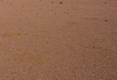 Torra Conservancy Photos