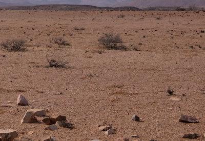 Torra Conservancy Photos