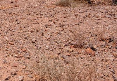 Twyfelfontein Photos