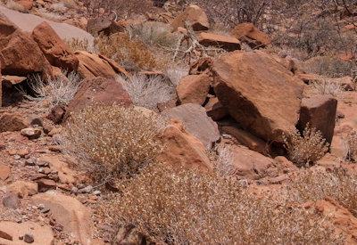 Twyfelfontein Photos