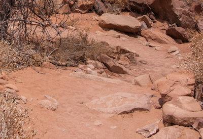 Twyfelfontein Photos