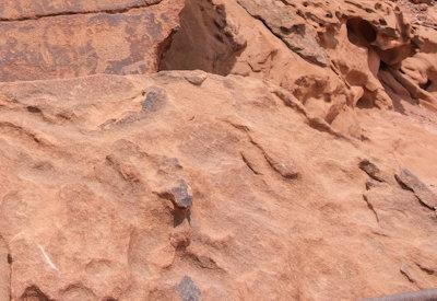 Twyfelfontein Photos