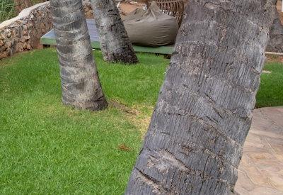 Omarunga Lodge Gallery