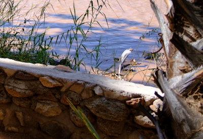 Photo Gallery of Omarunga Lodge