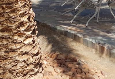 Büllsport Guestfarm Gallery