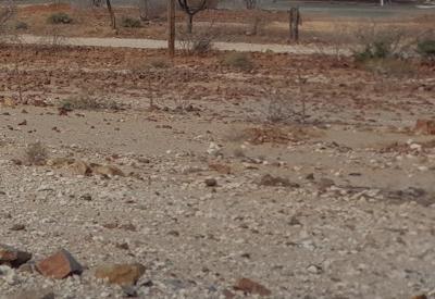 Büllsport Guestfarm Gallery