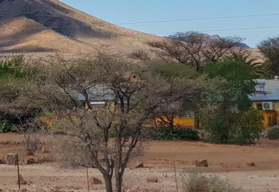 Büllsport Guestfarm Gallery