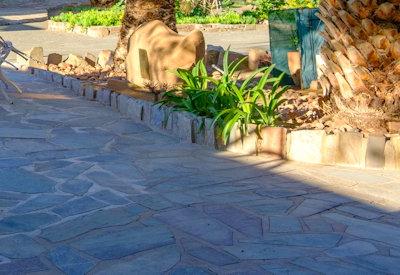 Photo Gallery of Büllsport Guestfarm