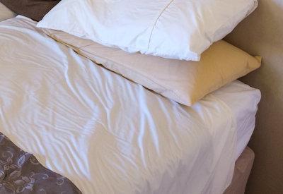 Büllsport Guestfarm Gallery