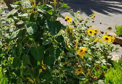 Büllsport Guestfarm Gallery