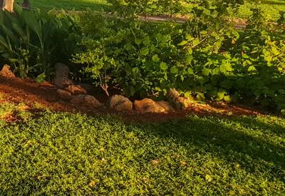 Kalahari Farmhouse Gallery