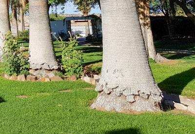 Kalahari Farmhouse Gallery