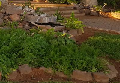 Kalahari Farmhouse Gallery