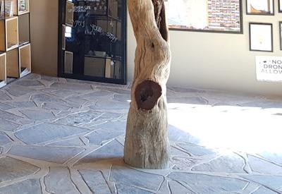 Photo Gallery of Namib Desert Lodge