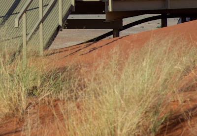 Namib Dune Star Camp Gallery