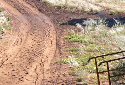 Namib Dune Star Camp Gallery