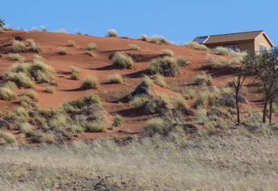 Namib Dune Star Camp Gallery