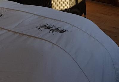 Photo Gallery of Namib Dune Star Camp