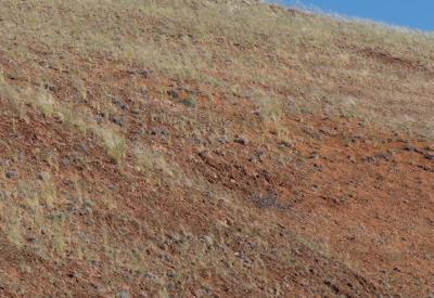 Namib Dune Star Camp Gallery