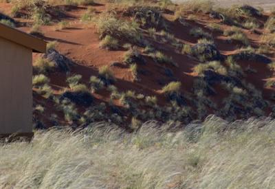 Namib Dune Star Camp Gallery