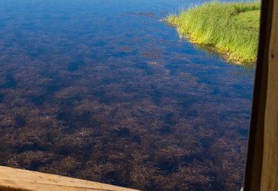 Photo Gallery of Onguma Bush Camp