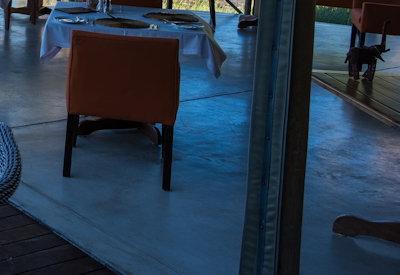 Photo Gallery of Onguma Bush Camp