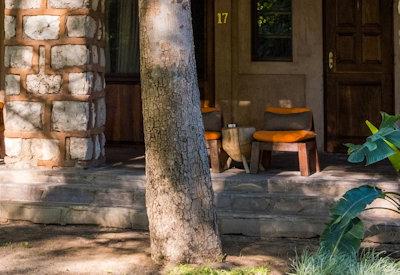 Onguma Bush Camp Gallery