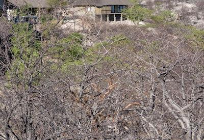 Photo Gallery of Safarihoek Lodge