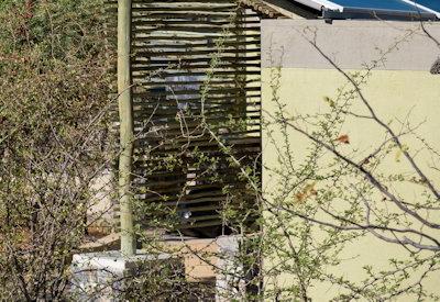 Photo Gallery of Safarihoek Lodge