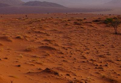 Wolwedans Dune Camp Gallery