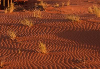 Photo Gallery of Wolwedans Dune Camp