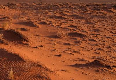 Photo Gallery of Wolwedans Dune Camp