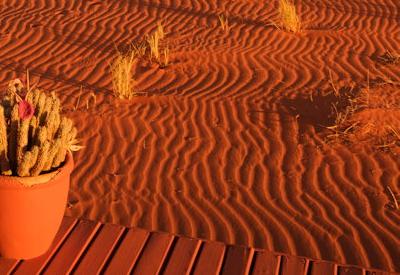 Photo Gallery of Wolwedans Dune Camp