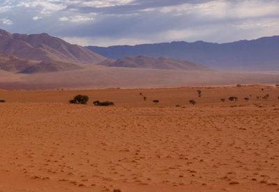 Photo Gallery of Wolwedans Dune Camp