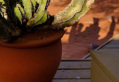 Wolwedans Dune Camp Gallery