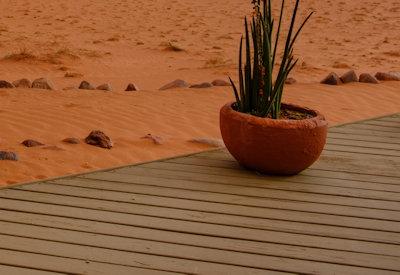 Photo Gallery of Wolwedans Dune Camp