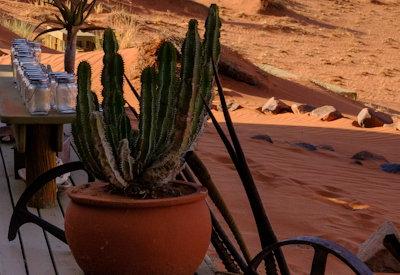 Wolwedans Dune Camp Gallery