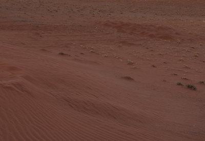 Photo Gallery of Wolwedans Dunes Lodge