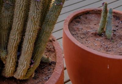 Wolwedans Dunes Lodge Gallery