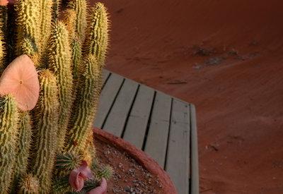 Wolwedans Dunes Lodge Gallery