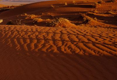 Wolwedans Dunes Lodge Gallery