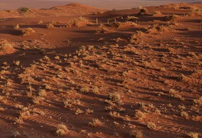 Wolwedans Dunes Lodge Gallery