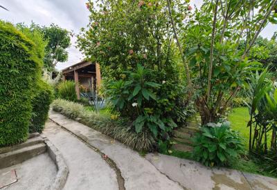 Tiloreza Volcanoes Ecolodge gardens and birdlife near Volcanoes National Park northern Rwanda