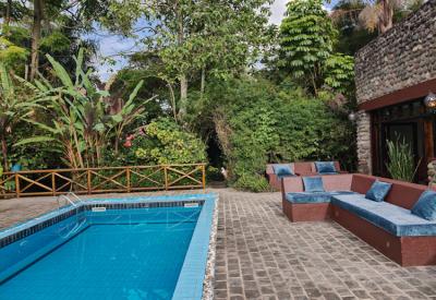 Tiloreza Volcanoes Ecolodge gardens and birdlife near Volcanoes National Park northern Rwanda