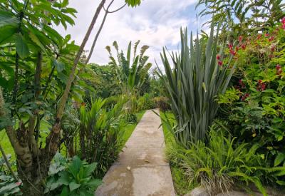 Tiloreza Volcanoes Ecolodge exterior and grounds below the Virunga mountains Volcanoes National Park Rwanda